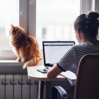 Une femme travaille sur son ordinateur portable, son chat est assis sur le rebord de la fenêtre